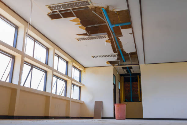 Best Mold removal after water damage  in Lafayette, GA