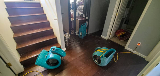 Best Local water damage restoration  in Lafayette, GA