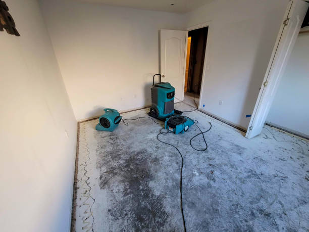 Best Water damage restoration near me  in Lafayette, GA