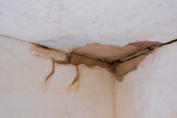 Best Flood damage cleanup  in Lafayette, GA