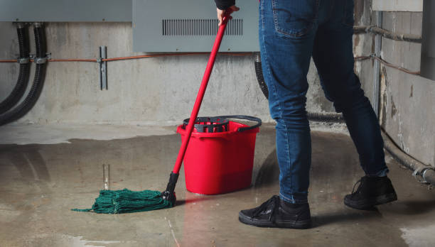 Best Commercial water damage restoration  in Lafayette, GA