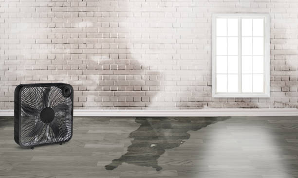 24/7 water damage repair in Lafayette, GA