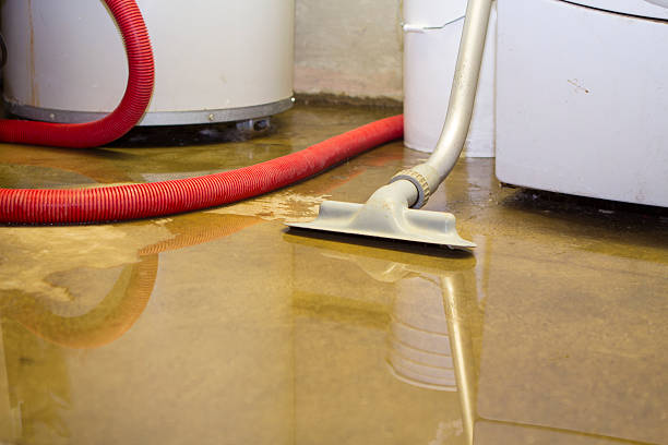 Best Sewage cleanup and water damage restoration  in Lafayette, GA