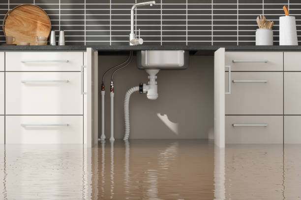  Lafayette, GA Water damage restoration Pros