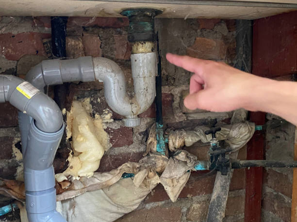 Best Basement water damage restoration  in Lafayette, GA